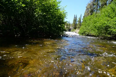 DSC_9916 (Large).JPG